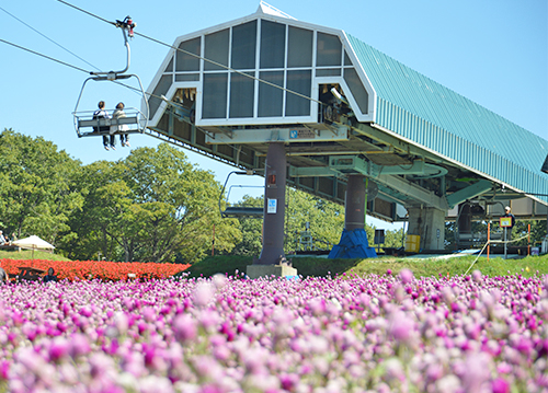 ひるがのピクニックガーデンペア入園券プラン