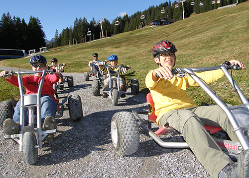 ひるがのピクニックガーデンペア入園券プラン