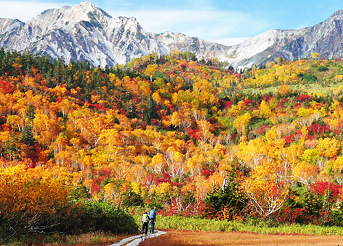 つがいけマウンテンリゾートペア入園券プラン
