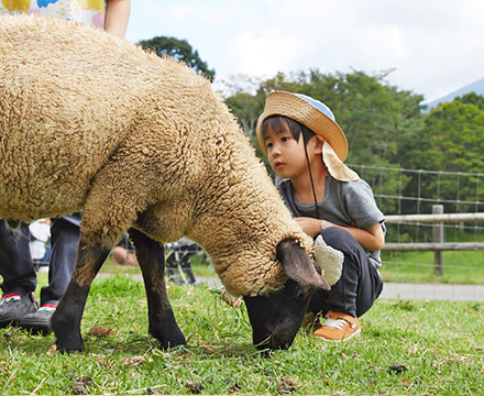 標高1,200mの圧倒的な絶景と開放感が戸隠キャンプ場の魅力